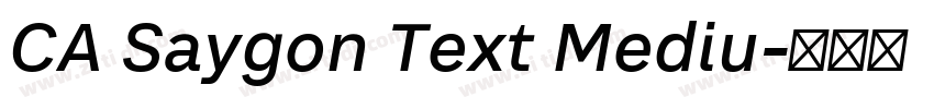 CA Saygon Text Mediu字体转换